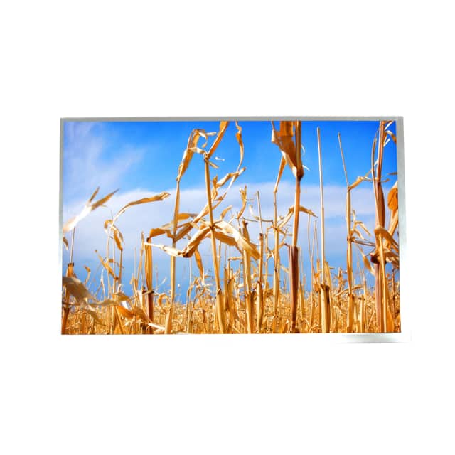 AZ Displays 2470-ATM1010L19-ND