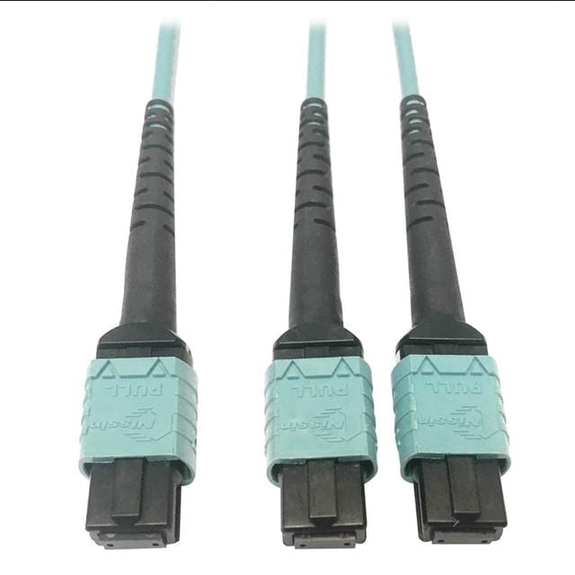 Tripp Lite 95-N846D-03M-24BAQ-ND