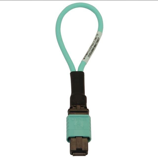 Tripp Lite 95-N844B-LOOP-12F-ND