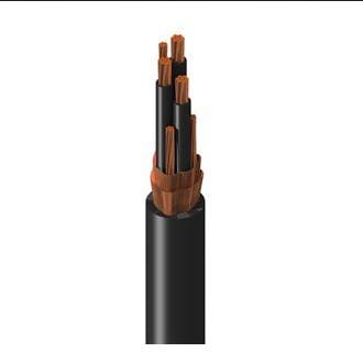 Belden Inc. 135-29525C0101000-DS-ND