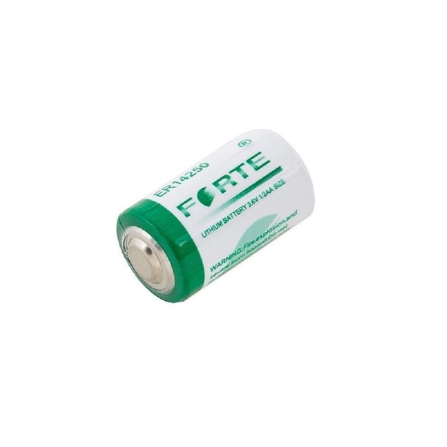 forte-lithium-battery-500x500-1.jpg