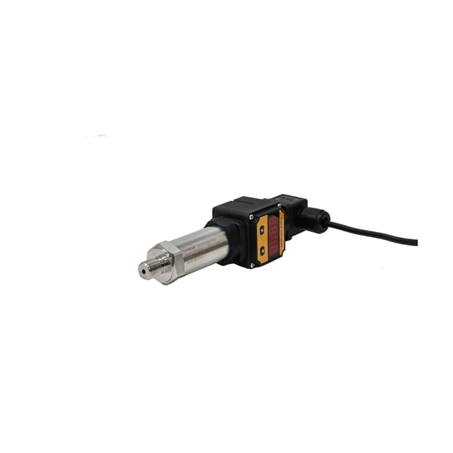R222360-1-scaled.jpg
